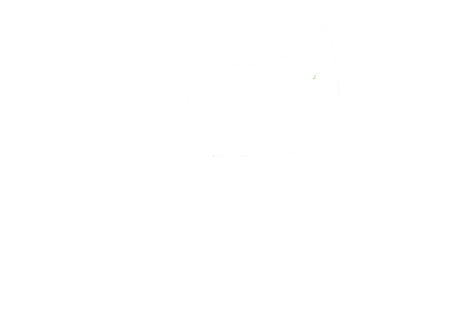 354-3543373_spring-framework-logo-svg-png-download-java-spring